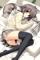 Rule 34 | 1girl, absurdres, amatsume akira, animal, bed, black eyes, black thighhighs, brown hair, cardigan, cat, clothes pull, from above, full body, futon, hair ornament, hairclip, hashimoto takashi, highres, huge filesize, indoors, long legs, looking at viewer, lying, no shoes, on bed, on side, panties, pantyshot, pillow, scarf, unworn scarf, school uniform, short hair, skirt, skirt pull, thighhighs, underwear, whiskers, white panties, yosuga no sora
