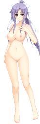 Rule 34 | 1girl, absurdres, barefoot, blush, breasts, brown eyes, feet, full body, hair ribbon, highres, hip focus, iizuki tasuku, large breasts, legs, long hair, long image, looking at viewer, lovely x cation 2, narukawa hime, navel, nipples, no pussy, nude, ponytail, purple hair, ribbon, simple background, solo, standing, thighs, toes, white background