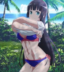 Rule 34 | 1girl, abs, anime screenshot, beach, black hair, blue eyes, breasts, dumbbell nan kilo moteru?, female focus, highres, long hair, looking at viewer, navel, ocean, palm tree, screencap, smile, solo, souryuuin akemi, stitched, swimsuit, third-party edit, toned, tree, undressing