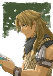 Rule 34 | 1boy, arm strap, armor, blue scarf, book, brown hair, chiron (fate), curtained hair, fate/apocrypha, fate (series), from side, green eyes, haretaka, holding, holding book, long hair, male focus, outside border, profile, reading, scarf, sleeveless, smile, solo, tree, upper body, white background