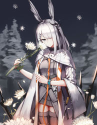 Rule 34 | 1girl, absurdres, arknights, black hair, black shirt, black skirt, coat, cowboy shot, ear ornament, female focus, flower, frostnova (arknights), grey eyes, grey hair, hair over one eye, hands up, highres, holding, holding flower, infection monitor (arknights), jean.organ, looking at viewer, outdoors, scar, scar across eye, scar on face, scar on nose, shirt, skirt, smile, snowflakes, solo, tree, white coat, white flower, wide sleeves