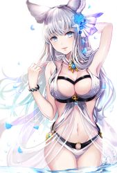 Rule 34 | 1girl, animal ears, arm behind head, arm up, armpits, bangle, bikini, blue eyes, blush, bracelet, breasts, erune, glint, granblue fantasy, head tilt, jewelry, korwa, korwa (summer) (granblue fantasy), large breasts, long hair, looking at viewer, myusha, parted lips, partially translated, petals, silver hair, smile, solo, sparkle, standing, swimsuit, translation request, very long hair, water, white background, white bikini