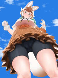 Rule 34 | 1girl, animal ears, bike shorts under skirt, blue sky, blush, breasts, brown hair, cameltoe, cleft of venus, cloud, day, dhole (kemono friends), dog ears, dog girl, dog tail, emil (fafa), extra ears, from below, gloves, highres, kemono friends, kemono friends 3, large breasts, looking at viewer, looking down, multicolored hair, official alternate costume, outdoors, shirt, short hair, skirt, sky, smile, solo, standing, tail, two-tone hair, upskirt, white hair
