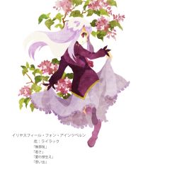 Rule 34 | 1girl, bad id, bad pixiv id, boots, fate/stay night, fate (series), flower, full body, illyasviel von einzbern, kuroihato, lilac, long hair, purple footwear, red eyes, skirt hold, solo, translated, white background, white hair