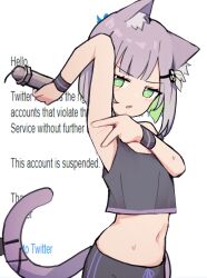 Rule 34 | 1girl, absurdres, animal ear fluff, animal ears, armpits, bad id, bad twitter id, bare shoulders, black tank top, bomb, cat ears, cat girl, cat tail, colored inner hair, crop top, green eyes, green hair, hair ornament, highres, inactive account, indie virtual youtuber, looking at viewer, lyrinne, midriff, multicolored hair, navel, open mouth, pipe bomb, purple hair, short hair, shwaa, solo, spread armpit, tail, tank top, twitter, virtual youtuber