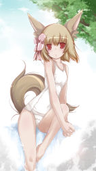 Rule 34 | 1girl, animal ears, bad id, bad pixiv id, bow, brown hair, hair bow, own hands clasped, one-piece swimsuit, original, own hands together, red eyes, school swimsuit, sitting, solo, swimsuit, tail, white school swimsuit, white one-piece swimsuit, yumesato makura