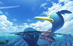 Rule 34 | afloat, aircraft, airplane, arrokuda, bird, closed mouth, cloud, commentary request, cramorant, creatures (company), day, fish, game freak, gen 8 pokemon, green eyes, highres, nintendo, no humans, outdoors, partially underwater shot, pokemon, pokemon (creature), rend, sky, water
