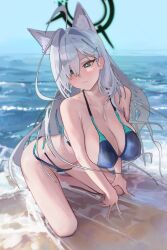 Rule 34 | 1girl, absurdres, aernius, animal ears, beach, bikini, blue archive, blue eyes, blush, breasts, broken halo, cleavage, closed mouth, cross hair ornament, dark halo, extra ears, grey hair, hair ornament, hairclip, halo, highres, large breasts, long hair, mismatched pupils, outdoors, shiroko (blue archive), shiroko terror (blue archive), solo, swimsuit, very long hair, wolf ears