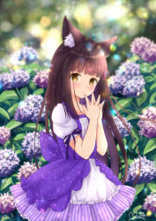 Rule 34 | 1girl, alternate costume, animal ear fluff, animal ears, azur lane, blunt bangs, blush, bow, brown hair, collarbone, cowboy shot, dress, dress bow, flower, frilled dress, frills, hair over shoulder, hands up, hydrangea, lens flare, long hair, looking at viewer, m ko (maxft2), multicolored clothes, multicolored dress, nagato (azur lane), own hands together, purple dress, short sleeves, signature, solo, spread fingers, standing, very long hair, white dress, yellow eyes