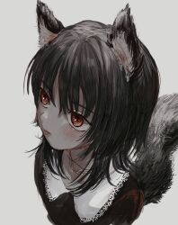Rule 34 | 1girl, animal ears, black hair, collared dress, dress, expressionless, grey background, highres, looking to the side, medium hair, mohato official, original, red eyes, simple background, sketch, solo, tail, upper body, wolf ears, wolf girl, wolf tail