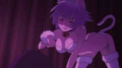Rule 34 | 10s, 1girl, animal ears, animated, animated png, ass, bell, neck bell, breasts, cat ears, cat tail, cleavage, collar, infinite stratos, lowres, sarashiki tatenashi, screencap, tail