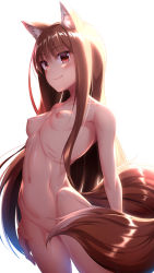 Rule 34 | 1girl, animal ear fluff, animal ears, breasts, brown hair, closed mouth, collarbone, commentary request, dosu (doseven), fang, highres, holo, long hair, looking at viewer, medium breasts, navel, nipples, nude, red eyes, simple background, smile, solo, spice and wolf, standing, tail, white background, wolf ears, wolf girl, wolf tail