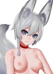 1girl animal_ear_fluff animal_ears blue_eyes braid breasts choker closed_mouth fox_ears fox_tail grey_hair highres looking_at_viewer medium_breasts nezuko nipples nude original red_choker short_hair simple_background smile solo tail upper_body white_background