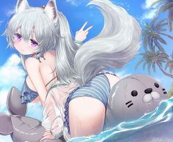 Rule 34 | 1girl, animal ear fluff, animal ears, arm up, ass, bikini, blue bikini, breasts, cloud, frilled bikini, frills, from behind, grey hair, head tilt, inflatable toy, kei kei, large breasts, leaning forward, long hair, looking back, off shoulder, original, outdoors, palm tree, partially submerged, pink eyes, ponytail, see-through, shirt, sideboob, sitting, sky, smile, solo, straddling, striped bikini, striped clothes, swimsuit, tail, thighs, tree, v, water, white shirt, wolf ears, wolf girl, wolf tail
