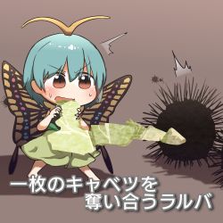 Rule 34 | 1girl, animal, antennae, aqua hair, barefoot, blush, brown background, brown eyes, butterfly wings, cabbage, dress, eternity larva, fairy, food, green dress, hair between eyes, highres, holding, holding food, holding vegetable, insect wings, kyoukei usagi, leaf, leaf on head, multicolored clothes, multicolored dress, open mouth, shadow, short hair, short sleeves, simple background, single strap, solo, touhou, translation request, urchin, vegetable, wings
