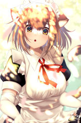 Rule 34 | 1girl, :o, animal ear fluff, animal ears, black skirt, blurry, blurry background, blush, breasts, brown eyes, brown hair, cat ears, cat girl, cat tail, chita (ketchup), collared shirt, depth of field, elbow gloves, gloves, hair between eyes, highres, looking at viewer, maid, maid headdress, medium breasts, neck ribbon, original, parted lips, puffy short sleeves, puffy sleeves, red ribbon, ribbon, shirt, short sleeves, skirt, solo, tail, tail raised, white gloves, white shirt