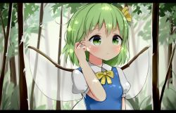Rule 34 | 1girl, arm at side, arm up, bad id, bad pixiv id, blue dress, blurry, breasts, commentary request, daiyousei, day, depth of field, dress, fairy wings, forest, green eyes, green hair, hair between eyes, hair ribbon, hand in own hair, letterboxed, light frown, looking to the side, nature, outdoors, partial commentary, pinafore dress, poco (zdrq3), puffy short sleeves, puffy sleeves, ribbon, shirt, short hair, short sleeves, sleeveless, sleeveless dress, small breasts, solo, touhou, transparent wings, upper body, white shirt, wing collar, wings, yellow neckwear, yellow ribbon
