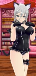 Rule 34 | 1girl, 3d, animal ear fluff, animal ears, bookshelf, breasts, cat ears, cat girl, cat tail, gloves, green eyes, grey hair, highres, indoors, one-piece swimsuit, senkou (senran kagura), senran kagura, swimsuit, tail