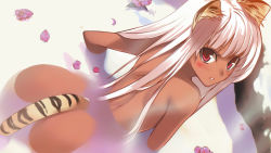 Rule 34 | 1girl, all fours, animal, animal ears, ass, back, bare back, bath, bathing, bent over, blush, breasts, cat ears, dark-skinned female, dark skin, female focus, flower, highres, long hair, long tail, looking back, looking up, morii shizuki, nude, onsen, open mouth, original, partially submerged, petals, red eyes, scan, solo, steam, submerged, tail, tiger ears, tiger girl, tiger tail, toranoana, towel, water, wet, white hair