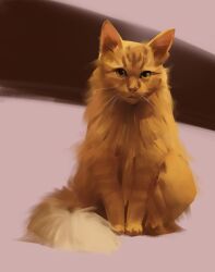 Rule 34 | absurdres, animal focus, cat, closed mouth, commentary, commission, english commentary, full body, head tilt, highres, looking at viewer, mahonsunto, no humans, orange cat, orange fur, original, real life, sitting, whiskers, yellow eyes