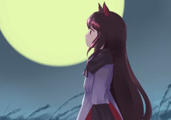 Rule 34 | 1girl, animal ears, brooch, brown eyes, brown hair, closed mouth, dress, from side, full moon, imaizumi kagerou, jewelry, long hair, long sleeves, looking afar, moon, night, night sky, outdoors, sky, solo, street dog, touhou, upper body, white dress, wolf ears, yellow moon