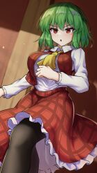 Rule 34 | 1girl, ascot, breasts, closed mouth, commentary, green hair, highres, kazami yuuka, large breasts, long sleeves, looking at viewer, open mouth, plaid, plaid skirt, red eyes, red skirt, red vest, shirt, short hair, skirt, smile, solo, touhou, vest, white shirt, yellow ascot, yosshy