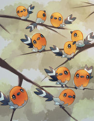 Rule 34 | beak, bird, black eyes, branch, commentary request, creatures (company), day, fletchling, fusenryo, game freak, gen 6 pokemon, highres, looking at viewer, looking up, nintendo, no humans, outdoors, pokemon, pokemon (creature)