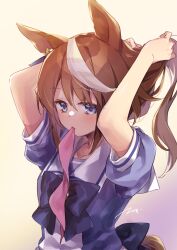Rule 34 | adjusting hair, animal ears, arms up, blue eyes, bow, brown hair, commentary request, ear ornament, ech, highres, horse ears, horse girl, horse tail, light blush, mouth hold, pink bow, ponytail, puffy short sleeves, puffy sleeves, purple bow, purple shirt, sailor collar, school uniform, shirt, short sleeves, simple background, tail, tokai teio (umamusume), tracen school uniform, umamusume, upper body, white background