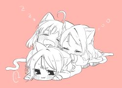 Rule 34 | ..., 3girls, ahoge, animal ear fluff, animal ears, blush, cat ears, cat girl, cat tail, chibi, closed mouth, clover hair ornament, commentary request, fang, greyscale with colored background, hair ornament, half updo, hand on another&#039;s ear, highres, kashikaze, long hair, long sleeves, love live!, love live! sunshine!!, medium hair, multiple girls, open mouth, parted lips, pink background, sakurauchi riko, short hair, simple background, spoken ellipsis, sweatdrop, tail, takami chika, watanabe you, zzz