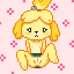 Rule 34 | 1girl, animal crossing, animal ears, animal nose, arms at sides, barefoot, blonde hair, blush, body fur, cleft of venus, dog ears, dog girl, female focus, flat chest, full body, furry, furry female, green skirt, hair bobbles, hair ornament, hair tie, isabelle (animal crossing), lewlem, light blush, nintendo, nipples, no panties, parted bangs, pink background, pixel art, pussy, short hair, sitting, skirt, solo, spread legs, topknot, topless, two-tone fur, yellow fur