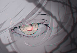 Rule 34 | 1other, brown eyes, close-up, commentary request, eye focus, eyelashes, grey hair, highres, hoshizaki reita, original, pale skin, shadow, solo