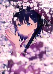 Rule 34 | 1girl, achiki, black hair, blue eyes, blurry, blurry background, blurry foreground, cherry blossoms, closed mouth, commentary, depth of field, haori, holding, holding umbrella, japanese clothes, kimono, looking at viewer, medium hair, oil-paper umbrella, original, own hands together, solo, symbol-only commentary, tree, umbrella