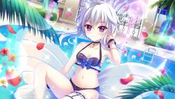 Rule 34 | 1girl, ahoge, bikini, blue bikini, blue bow, blue wrist cuffs, bow, bracelet, breasts, bridal garter, cleavage, closed mouth, collarbone, dot nose, dutch angle, film grain, flower, game cg, grey hair, groin, hand in own hair, hedge, hibiscus, ichijou ruka, inflatable raft, izumi tsubasu, jewelry, lens flare, looking at viewer, navel, necklace, night, non-web source, official art, outdoors, palm tree, pool, pool ladder, purple eyes, re:stage!, red flower, short hair with long locks, sitting, small breasts, smile, solo, sparkle, swimsuit, tree, white flower, wrist cuffs