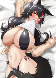 Rule 34 | animal ear fluff, animal ears, arm up, belly, bikini, bikini under clothes, black bikini, black hair, blush, breasts, breath, brown eyes, brown jacket, cleavage, clothes in mouth, clothes lift, cowboy shot, curly hair, flower hair ornament, hair between eyes, hair ornament, hairclip, hand up, highres, hizakake, hololive, huge breasts, jacket, lifting own clothes, long hair, long sleeves, lying, midriff, mouth hold, navel, on back, on bed, ookami mio, open clothes, open jacket, shirt, shirt in mouth, shirt lift, side-tie bikini bottom, swimsuit, tail, tail around own leg, virtual youtuber, white shirt, wide hips, wolf ears, wolf girl, wolf tail