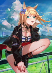 Rule 34 | 1girl, against railing, animal ears, bandeau, belt, black footwear, black jacket, blonde hair, blue eyes, blue shorts, boots, bow, breasts, chain, cleavage, collar, cutoffs, denim, denim shorts, gloves, gold city (umamusume), grass, head rest, highres, horse ears, jacket, kainown, long hair, looking at viewer, medium breasts, micro shorts, midriff, open clothes, open jacket, racetrack, railing, short shorts, shorts, single glove, strapless, striped, studded belt, thighs, tube top, umamusume
