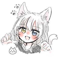 Rule 34 | 1girl, :3, animal ears, bang dream!, bang dream! it&#039;s mygo!!!!!, blue eyes, blush, cat ears, cat girl, cat tail, commentary request, fang, heterochromia, kaname raana, open mouth, paw pose, same (same d4), short hair, simple background, solo, tail, white background, white hair, yellow eyes
