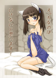 Rule 34 | 10s, 1girl, animal ears, blue eyes, blush, brave witches, brown hair, cat ears, cat tail, check translation, clothes pull, georgette lemare, masana hatuse, pantyhose, pantyhose pull, solo, strike witches, tail, translated, translation request, world witches series