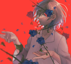 Rule 34 | 1boy, blue flower, blue rose, buttons, collarbone, collared shirt, eyelashes, falling petals, fingernails, flower, grey hair, highres, looking at viewer, male focus, mirutabi mitabi, original, petals, red background, red eyes, rose, shirt, solo, tears, thorns, upper body, white shirt, wide sleeves