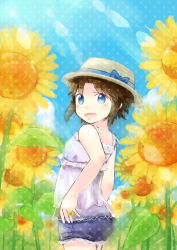 Rule 34 | 1girl, :d, bad id, bad pixiv id, blue eyes, brown hair, casual, field, flower, flower field, hat, hinata yuu, looking at viewer, looking back, open mouth, original, short hair, smile, solo, sunflower, sunflower field