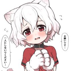 Rule 34 | 1girl, albino, animal ear fluff, animal ears, animal hands, black collar, blush, cat ears, cat girl, cat tail, collar, extra ears, flying sweatdrops, gloves, kaban (kemono friends), kemono friends, kemonomimi mode, looking at viewer, no headwear, paw gloves, ransusan, red eyes, red shirt, shirt, short hair, short sleeves, solo, t-shirt, tail, tearing up, translation request, upper body, white hair