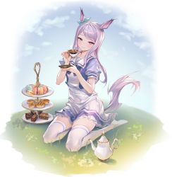 Rule 34 | 1girl, absurdres, animal ears, biscuit (bread), blush, closed mouth, cup, food, full body, grass, highres, holding, holding cup, holding saucer, horse ears, horse girl, horse tail, lilithmy, long hair, macaron, mejiro mcqueen (umamusume), no shoes, outdoors, purple eyes, purple hair, purple shirt, sailor collar, saucer, shirt, sitting, skirt, steam, tail, teacup, teapot, thighhighs, tiered tray, umamusume, white skirt, white thighhighs, yokozuwari, zettai ryouiki