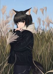 Rule 34 | 1girl, animal ear fluff, animal ears, black hair, black jacket, black legwear, black pants, black tail, blue sky, brown eyes, cowboy shot, day, from side, grass, hands up, highres, hood, jacket, kgt (pixiv12957613), long sleeves, looking at viewer, open mouth, original, outdoors, pants, short hair, sky, sleeves past wrists, solo, standing, susuki grass, tail, white hood