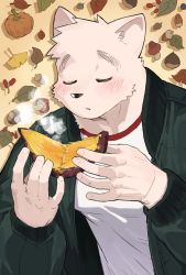 Rule 34 | 1boy, acorn, animal ears, autumn, autumn leaves, bara, blowing, blush, closed eyes, commentary, crew neck, food, furry, furry male, highres, male focus, muscular, muscular male, mushroom, open mouth, original, pumpkin, shirt, solo, steam, sweet potato, symbol-only commentary, syukapong, t-shirt, white shirt
