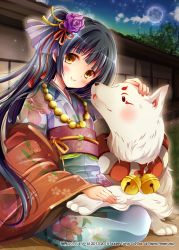 Rule 34 | 1girl, animal, black hair, blush, company name, dog, flower, hair flower, hair ornament, headpat, jewelry, long hair, looking at viewer, moon, necklace, night, night sky, outdoors, picpicgram, ponytail, shinkai no valkyrie, sitting, sky, smile, yellow eyes
