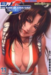 Rule 34 | blurry, breasts, brown eyes, brown hair, cleavage, depth of field, fatal fury, long hair, looking at viewer, messy hair, shiranui mai, snk, the king of fighters