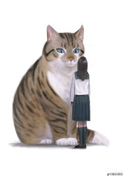Rule 34 | 1girl, animal, arms at sides, black socks, blue eyes, blue sclera, brown hair, cat, colored sclera, commentary request, from behind, kneehighs, long hair, monokubo, original, oversized animal, pleated skirt, sailor collar, school uniform, serafuku, shoes, simple background, skirt, socks, standing, white background