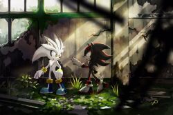 Rule 34 | 2boys, black fur, brown eyes, commentary request, day, gloves, grey fur, highres, iyo (1eavethebus), male focus, multicolored fur, multiple boys, outdoors, red eyes, red fur, shadow the hedgehog, silver the hedgehog, sonic (series), white gloves