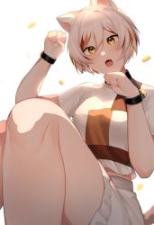 Rule 34 | 1girl, animal ear fluff, animal ears, bell, black choker, blush, breasts, brown hair, brown shirt, cat ears, cat tail, choker, coin, commentary, english commentary, fang, goutokuji mike, grey hair, grey shirt, grey shorts, hair between eyes, hands up, highres, looking at viewer, majime joe, medium breasts, multicolored clothes, multicolored hair, multicolored shirt, neck bell, open mouth, orange hair, puffy short sleeves, puffy sleeves, shirt, short hair, short sleeves, shorts, simple background, sitting, solo, t-shirt, tail, teeth, tongue, touhou, white background, wristband, yellow eyes