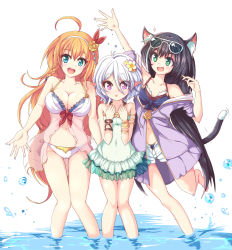 Rule 34 | 3girls, ahoge, animal ear fluff, animal ears, arm up, black hair, blonde hair, blue eyes, breasts, cat ears, cat tail, cleavage, collarbone, commentary request, eyewear on head, fang, flower, green eyes, hair flower, hair ornament, headband, highres, karyl (princess connect!), karyl (summer) (princess connect!), kokkoro (princess connect!), kokkoro (summer) (princess connect!), large breasts, long hair, looking at viewer, midriff, multiple girls, navel, open mouth, pecorine (princess connect!), pecorine (summer) (princess connect!), pointy ears, princess connect!, purple eyes, short hair, simple background, sunglasses, swimsuit, tail, water, white background