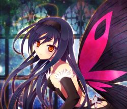 Rule 34 | 10s, 1girl, accel world, antenna hair, bare shoulders, black hair, butt crack, butterfly wings, dress, elbow gloves, gloves, headband, insect wings, kuroyukihime, long hair, md5 mismatch, ohde, orange eyes, resolution mismatch, solo, source smaller, wings